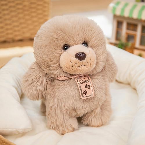 LfrAnk Cartoon Welpe Teddy Hund Puppe Kuscheltier Puppe Kinder Kissen Ragdoll Geburtstagsgeschenk 35CM 1 von LfrAnk