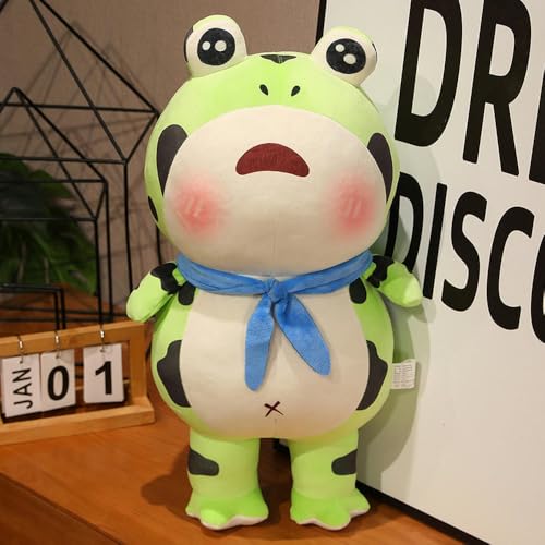 LfrAnk Niedliche Froschpuppe Plüschtier Froschpuppe Kinder Stoffpuppe Geburtstagsgeschenk 20CM 1 von LfrAnk