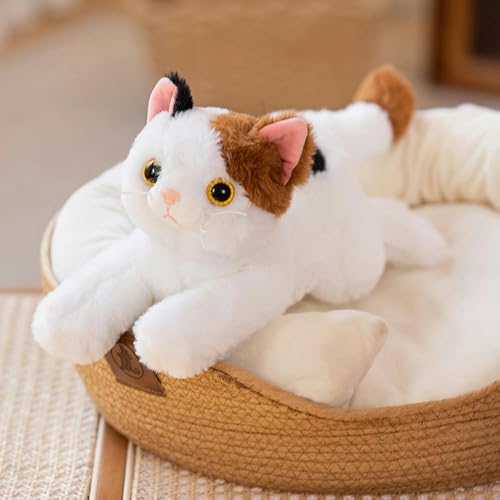 LfrAnk Niedliche Katze Puppe Stofftier Puppe Kinder Stoffpuppe Geburtstagsgeschenk 50CM 2 von LfrAnk