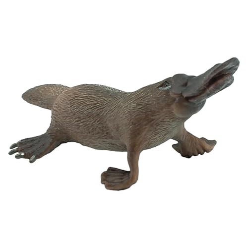 Liakyunf Schnabeltier Abbildung | Tiermodell Spielzeug | Simulierte Tiermodelle Schnabeltier, Schnabeltierspielzeug, Schnabeltierfigur Lernspielzeug für Mädchen und Liakyunf Schnabeltier Abbildung | Tiermodell Spielzeug | Simulierte Tiermodelle Schnabeltier, Schnabeltierspielzeug, Schnabeltierfigur Lernspielzeug für Mädchen und von Liakyunf