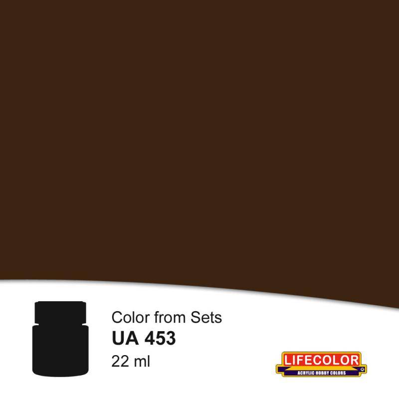 Dark Leather 22 ml von Lifecolor