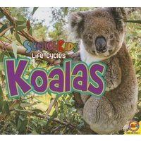 Koalas von Av2