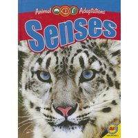 Senses von Av2