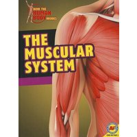 The Muscular System von Av2