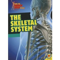 The Skeletal System von Av2