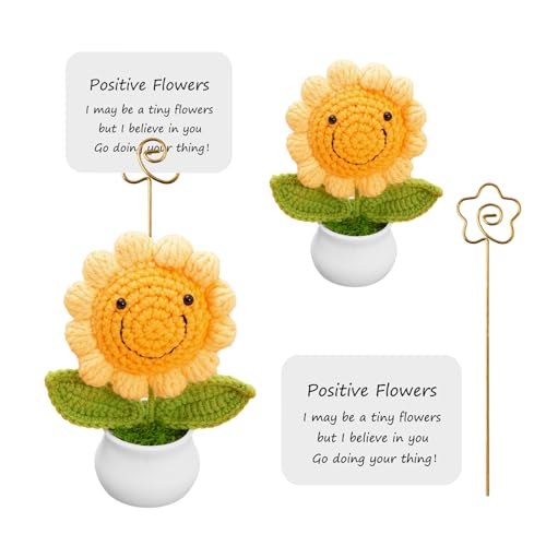 Liuer Pocket Hug Positive Blumen Lustige,Motivationsgeschenke,Geschenke für Kollegen,Abschiedsgeschenk Kollegen,Beste Freundin Geschenke,Gute Laune Geschenke,Gute Besserung Geschenk (C) von Liuer