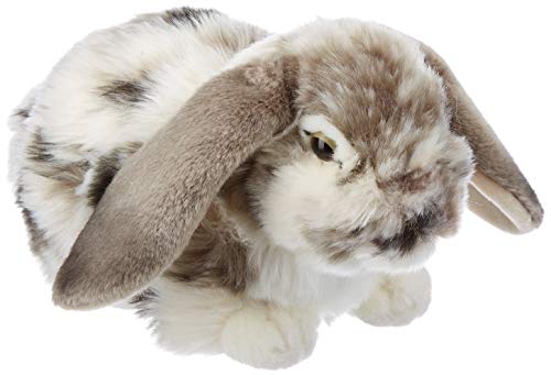 Living Nature AN316 Soft Toy Dutch Lop Ohr-Kaninchen, Grau und Beige, Sortierte Farbe, 30 cm, Unbekannt von Living Nature