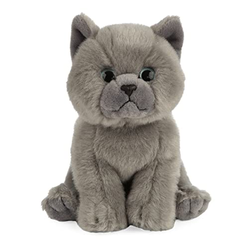 Living Nature AN447 Soft Toy - Stofftier Britische Kurzhaar Babykatze, Grau von Living Nature