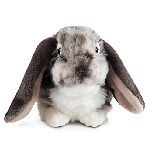 Living Nature Graues holländisches Lop Eared Hase Stofftier Plüschtier | Flauschiges Kaninchen Tier | Stofftier Geschenk für Kinder | Jungen und Mädchen Stoffpuppe | Naturli Umweltfreundliche Plushies von Living Nature