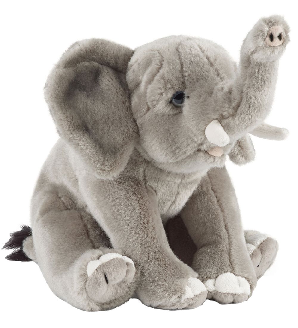 Living Nature Kuscheltier - 23x17 cm - Elefant - Grau - Living Nature - One Size - Kuscheltiere Living Nature Kuscheltier - 23x17 cm - Elefant - Grau - Living Nature - One Size - Kuscheltiere von Living Nature