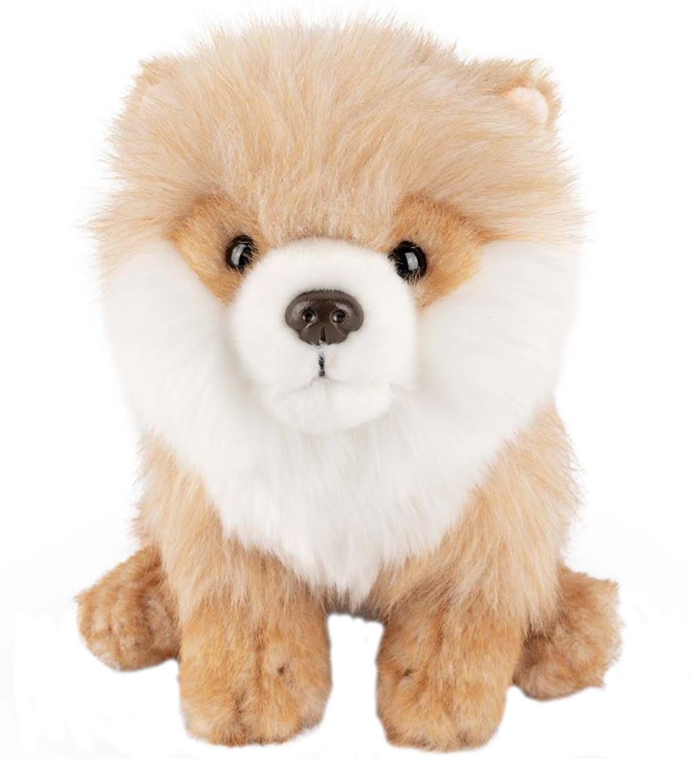 Living Nature Kuscheltier - 28x17 cm - Pomeranian - Beige - Living Nature - One Size - Kuscheltiere Living Nature Kuscheltier - 28x17 cm - Pomeranian - Beige - Living Nature - One Size - Kuscheltiere von Living Nature