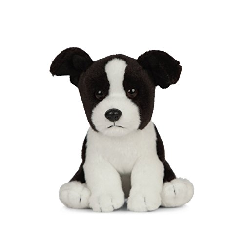 Living Nature Soft Toy - Stofftier Border Collie Welpe (16cm), Unbekannt von Living Nature