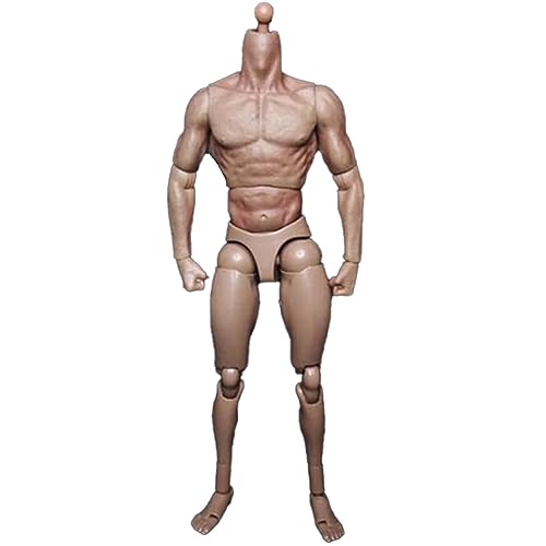 Lnfxkvva Schmale Schulter männliche Körperpuppe Actionfigur 1/6 Maßstab Actionfigur für TTM18 TTM19 Hot Toys & Human Body Sketch Model von Lnfxkvva
