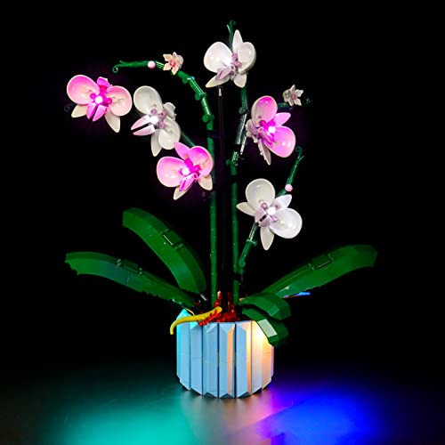 Led Licht Set für Lego 10311 Orchidee Botanical Collection Set - Nur Lichter-Set, kein Lego-Modell (Classic Version) von LocoLee