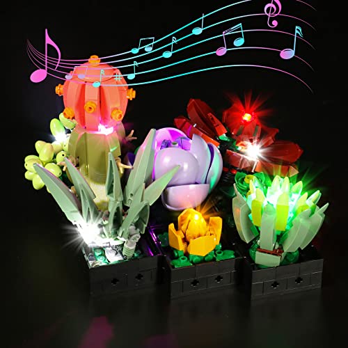 LocoLee Led Licht Set Kompatibel mit Lego Sukkulenten, Led Beleuchtungs Set Compatible with Lego 10309 Sukkulenten Botanical Collection Set - Nur Lichter-Set, Kein Modell (Musikversion) von LocoLee