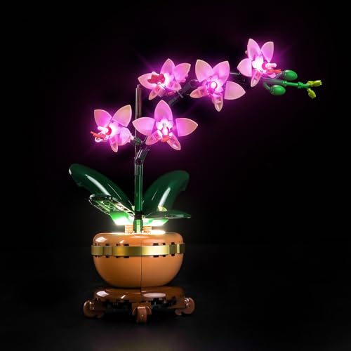 LocoLee Licht Set Kompatibel mit Lego 10343 Mini-Orchidee Sonderanfertigung, Nur Lichter Set - Kein Modell, Licht Beleuchtung Set Compatible with Lego Mini Orchid 10343 von LocoLee