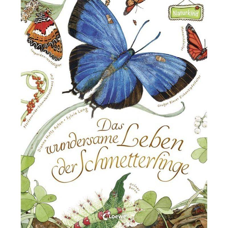 Das wundersame Leben der Schmetterlinge von Loewe