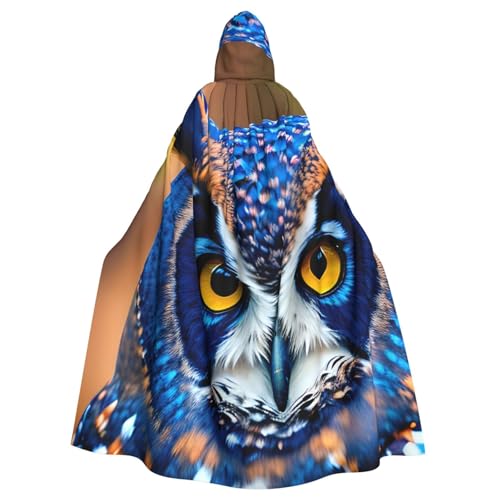 Longzehao Uni Roben Capes Erwachsene Blaue Eule 1 Print Kapuze Mantel für Cosplay Halloween Karneval Kostüme von Longzehao