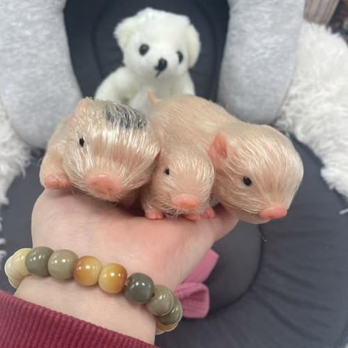 Silikon Schwein Puppe Spielzeug niedlich Miniatur Reborn Tiere Spielzeug interessant voll Silikon Körper Schwein Spielzeug mit Geschenk-Box für Kinder (3 Schweine Familie) von Lonian