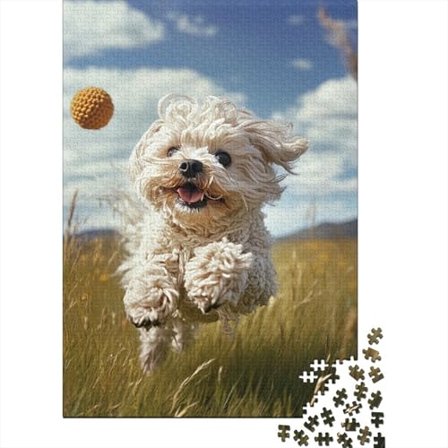 West Highland White Terrier Puzzle 1000 Teile Erwachsener Kniffel Spaß Für Die Ganze Familie - Abwechslungsreiche 1000 Puzzleteilige Motive Puzzlespiel Erwachsene Puzzel 1000pcs (75x50cm) von Loongboy