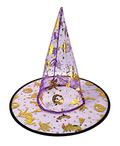 Lovelegis Hexenhut - Transparent - Karneval - Halloween - Frau - Mann - Kürbisse - Katzen - Accessoires - Verkleidung - Lila Farbe mit silber- und goldenen Verzierungen - wendbar von LoveLegis