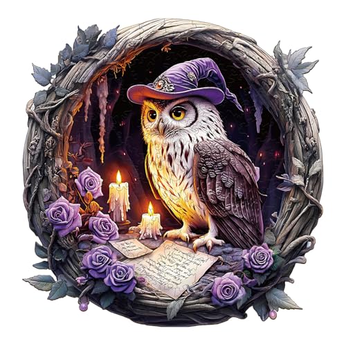 Holzpuzzles für Erwachsene und Kinder, 100 Teile Holzpuzzle Erwachsene, Kreisförmige Einzigartige Puzzle, Wooden Puzzle Witch owl, Holz Puzzle Mit Geschenkbox Aus Holz von Lovpippi