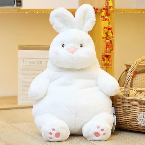 LsnDxg Hase Plüsch Puppe Weiche süße Hase Tier Spielzeug Kissen Kawaii Kissen Dekoration Kinder Mädchen Geburtstagsgeschenk 40cm 1 von LsnDxg