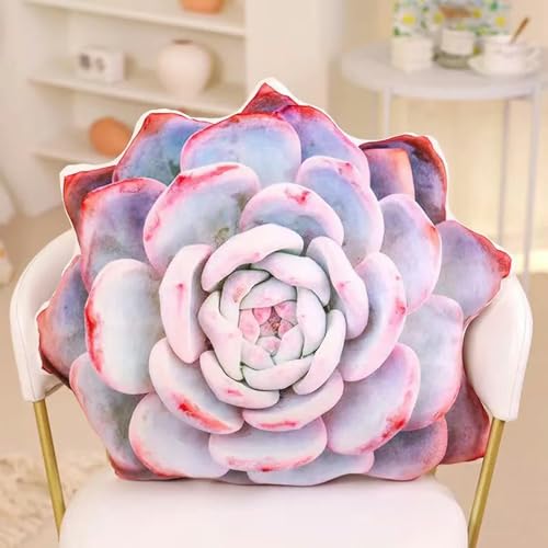 LsnDxg Kreative Simulation Sukkulente Pflanze Kissen Soft Suffed Home Decoration Büro Auto Rückenlehne Kissen 15cm 3 von LsnDxg