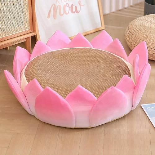 LsnDxg Lotus Sitzkissen Sommer cool Indoor Boden Plüsch Kissen Pflanzendekoration Plüsch Geburtstagsgeschenk 20CM 1 von LsnDxg