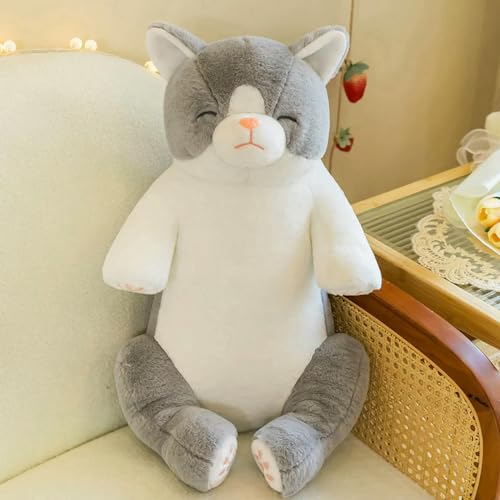 LsnDxg Niedliche Faule Katze Puppe Plüsch Spielzeug Cartoon Tier Plüsch Geschenk für Jungen und Mädchen 60cm 1 von LsnDxg