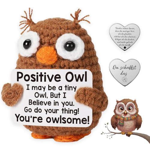 Lucktao Positive Owl,Pocket Hug Eule Positive,Kreative Strickwolle Positive Eule Puppe,Lustige Positive Eulen,Eulen Geschenke,für Freunde,Familie,Co-Worker,Geschenke Urlaub,Mutmacher Geschenk von Lucktao