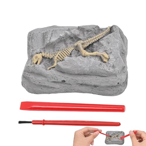 Ausgrabungs-Set,saurier Skelett Ausgrabungsset | Modell Sensorik Wissenschaftliches Lernspielzeug Aktivität für Ostern Geburtstagsparty Kinder Ausgrabungs-Set,saurier Skelett Ausgrabungsset | Modell Sensorik Wissenschaftliches Lernspielzeug Aktivität für Ostern Geburtstagsparty Kinder von Luckxing