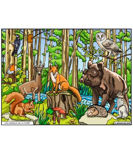 LudoColor Bild aus Samt zum Ausmalen, Motiv: Tiere des Waldes, LUDO-LAN016 von LudoColor