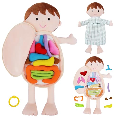 Lullaberry 45cm Little Patient Lucas Plüsch Anatomie Puppe - Weiches Lernspielzeug mit abnehmbaren menschlichen Organen - Lernen Sie grundlegende Anatomie für Kleinkinder und Kinder Lullaberry 45cm Little Patient Lucas Plüsch Anatomie Puppe - Weiches Lernspielzeug mit abnehmbaren menschlichen Organen - Lernen Sie grundlegende Anatomie für Kleinkinder und Kinder von Lullaberry