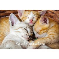 Postkarte "Kuschelgutschein" mit Katzenmotiv von Luma