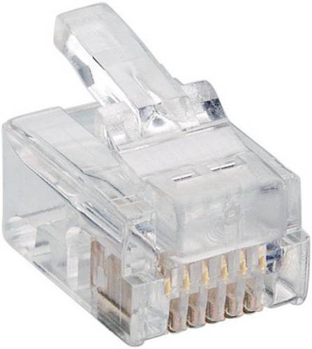 Lumberg P 128 Modularstecker P 128 Stecker, gerade Polzahl Sensoren 6P6C Transparent von Lumberg