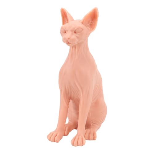 12,6 Zoll Haarloses Katzenmodell, Realistische Silikon-Sphynx-Katzenfiguren-Sammlung, Spielset, Wissenschaftliches Lernspielzeug, Weiche Lebensechte Ornamente für von Luocute