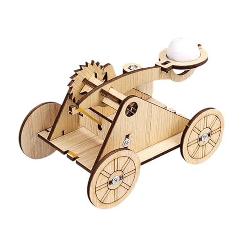 Luwecf DIY Steinwerfer Modell Spielzeug Wissenschaft Kits Kreative Interessante Stem Lernspielzeug Wissenschaftliches Experiment Spielzeug für Heimkinder von Luwecf