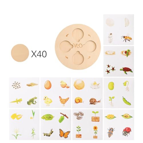 Luwecf Naturwachstums-Puzzle-Set für Kinder, Scheibe mit Sockel von Luwecf