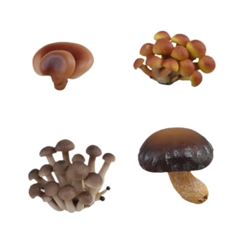 Luwecf Simulierter Pilzwachstumszyklus-Spielzeug-Pilz-Lebenszyklus-Modell-pädagogisches Spielzeug-Set, Braune Champignons von Luwecf