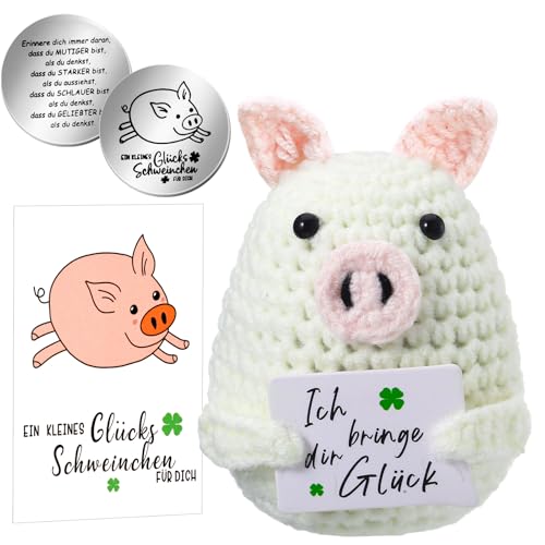 Lvefyti Positive Geschenke Pocket Hug Schwein, Positive Kartoffel - Ersatz, Strickwolle Schwein Puppe, Gute Besserung Geschenk, Mutmacher Geschenk, Glücksbringer Prüfung Geschenk von Lvefyti