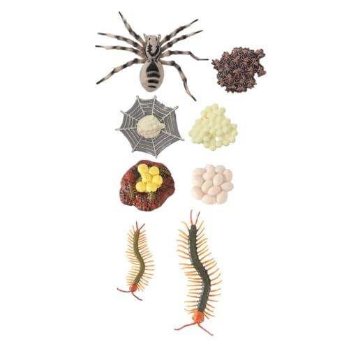 MAGICLULU 2 Sätze Lebenszyklus Tierische Simulationsmodelle Tarantel und Hundertfüßler Lernspielzeug für Biologische Kognition Bildungsdekoration aus Kunststoff MAGICLULU 2 Sätze Lebenszyklus Tierische Simulationsmodelle Tarantel und Hundertfüßler Lernspielzeug für Biologische Kognition Bildungsdekoration aus Kunststoff von MAGICLULU