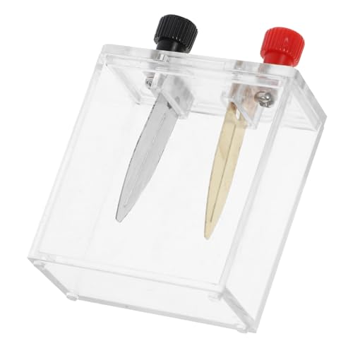 MAGICLULU Batterie experimentierset mit Kupfer Eisen Zinkelektroden Einfach zu Montierendes Physik lehrmittel für Schüler Geeignet für Salzwasser Schaltungs experimente Langlebiges MAGICLULU Batterie experimentierset mit Kupfer Eisen Zinkelektroden Einfach zu Montierendes Physik lehrmittel für Schüler Geeignet für Salzwasser Schaltungs experimente Langlebiges von MAGICLULU