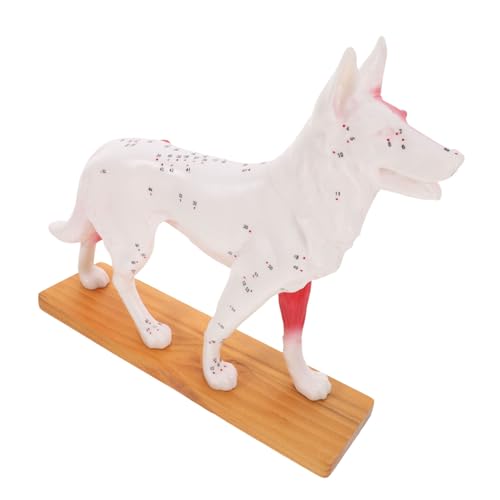 MAGICLULU Hund Akupunktur Modell Trainingsmodell für Veterinärstudenten Detailliertes Hunde Körper Akupunkturpunkt Lehrmittel Robust und Pflegeleicht für Medizinische Ausbildung MAGICLULU Hund Akupunktur Modell Trainingsmodell für Veterinärstudenten Detailliertes Hunde Körper Akupunkturpunkt Lehrmittel Robust und Pflegeleicht für Medizinische Ausbildung von MAGICLULU