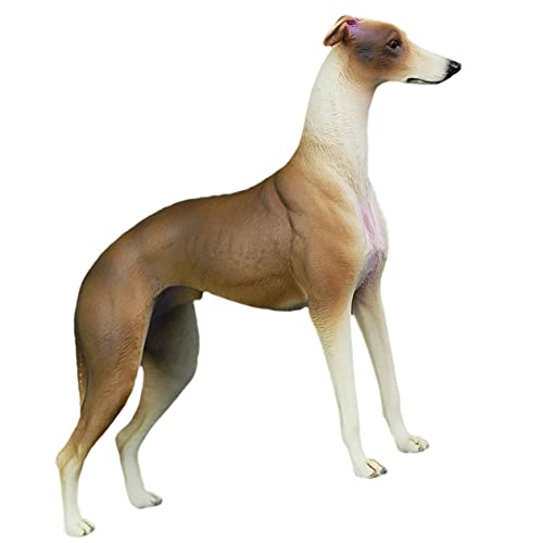 MAGICLULU Hundeschmuck Realistisches Windhundmodell Hundemodell Realistischer Tiermodell Desktop-Tier-Spielzeug Hundespielzeug Aus Kunststoff Dekorationen Kind Plastik Der Hund von MAGICLULU