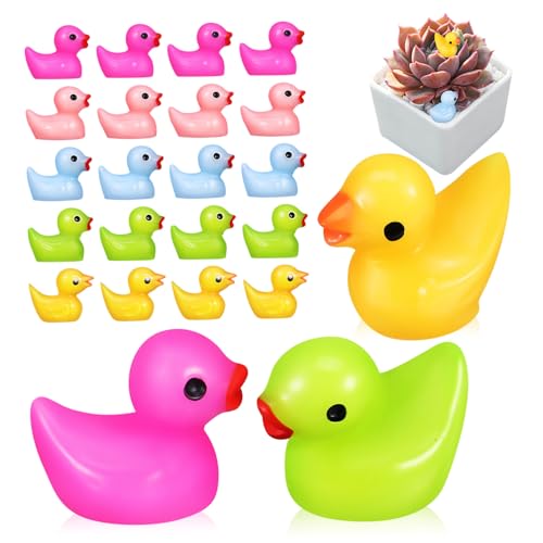 MAGICLULU Mini Enten Figuren Aus Harz Bunte Dekoration Für Miniaturgärten Puppenhäuser Und Aquarien Gelbe Blaue Grüne Und Magentafarbene Enten Im Set von MAGICLULU