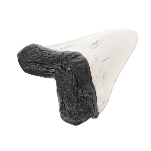 MAGICLULU Realistischer Haizahn Dekofigur aus Robustem Kunststoff Kompakt und Vielseitig Einsetzbar als Sammlerstück Lehrmaterial und Stilvolle Tisch Regaldekoration für Zuhause und Büro MAGICLULU Realistischer Haizahn Dekofigur aus Robustem Kunststoff Kompakt und Vielseitig Einsetzbar als Sammlerstück Lehrmaterial und Stilvolle Tisch Regaldekoration für Zuhause und Büro von MAGICLULU