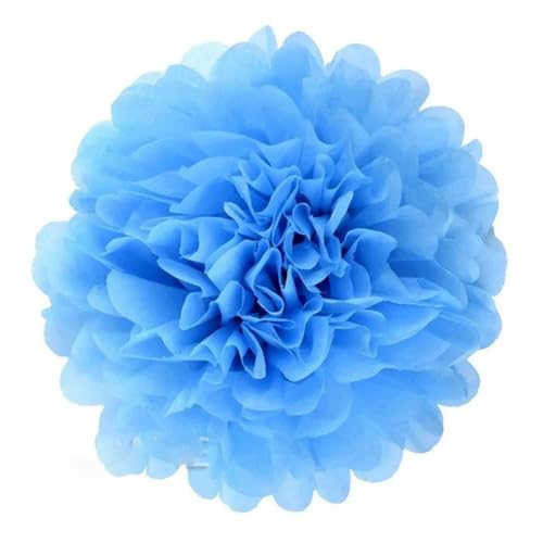 China Festival Dekorative Laterne 5 Pcs Seidenpapier Pompons Blume Girlande Hochzeit Dekoration DIY Papier Blumen Ball Geburtstag Party Dekoration(Blue,10 inches 25cm) von MEYINGOU