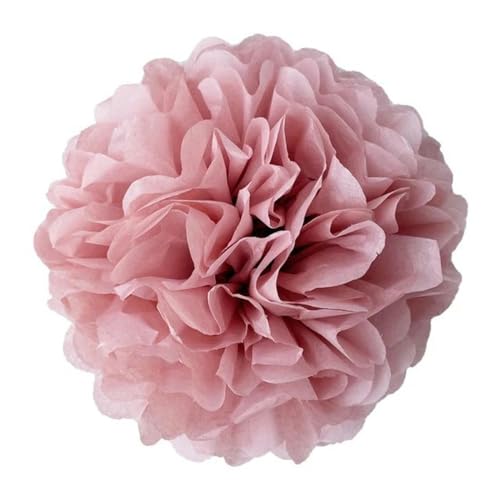 China Festival Dekorative Laterne 5 Pcs Seidenpapier Pompons Blume Girlande Hochzeit Dekoration DIY Papier Blumen Ball Geburtstag Party Dekoration(Blush,12 inches 30cm) von MEYINGOU