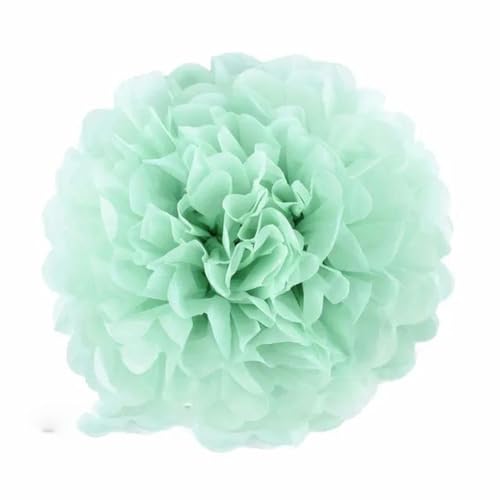 China Festival Dekorative Laterne 5 Pcs Seidenpapier Pompons Blume Girlande Hochzeit Dekoration DIY Papier Blumen Ball Geburtstag Party Dekoration(Cool mint,10 inches 25cm) von MEYINGOU